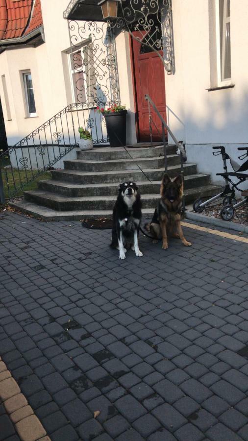 Agnieszkas Pension Havelberg Luaran gambar